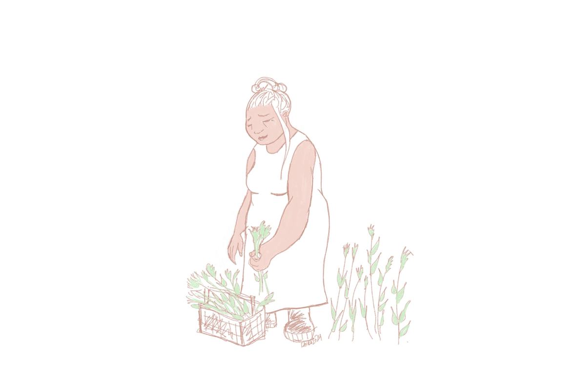 Piirretyssä kuvassa vanhahko nainen kerää villiyrttejä.