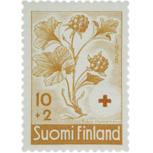 Pystytasoinen oranssi postimerkki, jossa on kuvattu suomuurain. Ylhäälle on merkitty vuosiluku 1958 ylhäältä alas, vasemmassa alakulmassa kuvaosioissa numeroin kymmenen plus kaksi, oikealla rubus chamaemorus ja postimerkin alaosassa Suomi Finland. Oikealla alaosassa on punaisen ristin tunnus punaisella.